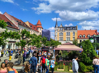 Rynek w Pszczynie